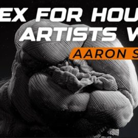 Rebelway – Vex For Houdini Artists 2024
