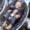 Unreal Engine Bundle 7 June 2026