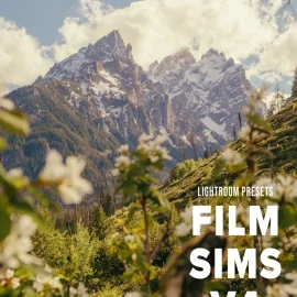 AV FILM SIMS – BUNDLE (4 PACKS)