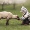 Daniel Venter – Amy had a Little Lamb 2021