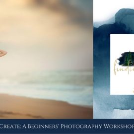 Finding North Educational – Creating Captivating Images