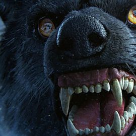 Peregrine Labs Yeti 5.2.8 Maya 2024 – 2026 Win