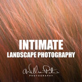 William Patino – Intimate Landscape Photography
