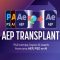 AEScripts Bundle 2 Aug 2026