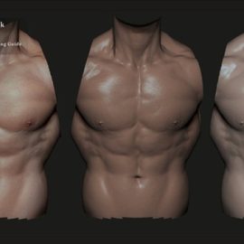 Artstation – ZBrush – Realistic Skin and Clay Material Pack + Bonus Tutorial