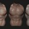 Artstation – ZBrush – Realistic Skin and Clay Material Pack + Bonus Tutorial