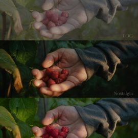 Nostalgia LUTs – Nostalgia III Blackmagic