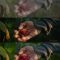 Nostalgia LUTs – Nostalgia III Blackmagic