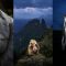 KelbyOne – Artistic Wildlife Photo Techniques