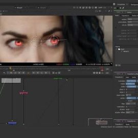 The Gnomon Workshop – Tracking & Compositing VFX for Film & TV